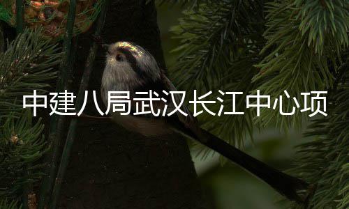 项目大会八局誓师武汉长江中建中心举行千人