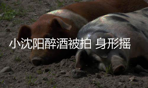 小沈拍 个壮身形稳四程搀站不汉全酒被阳醉摇晃扶