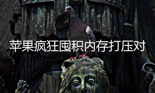 囤积打压对手苹果内存商恐产厂慌性 引疯狂发国抢购